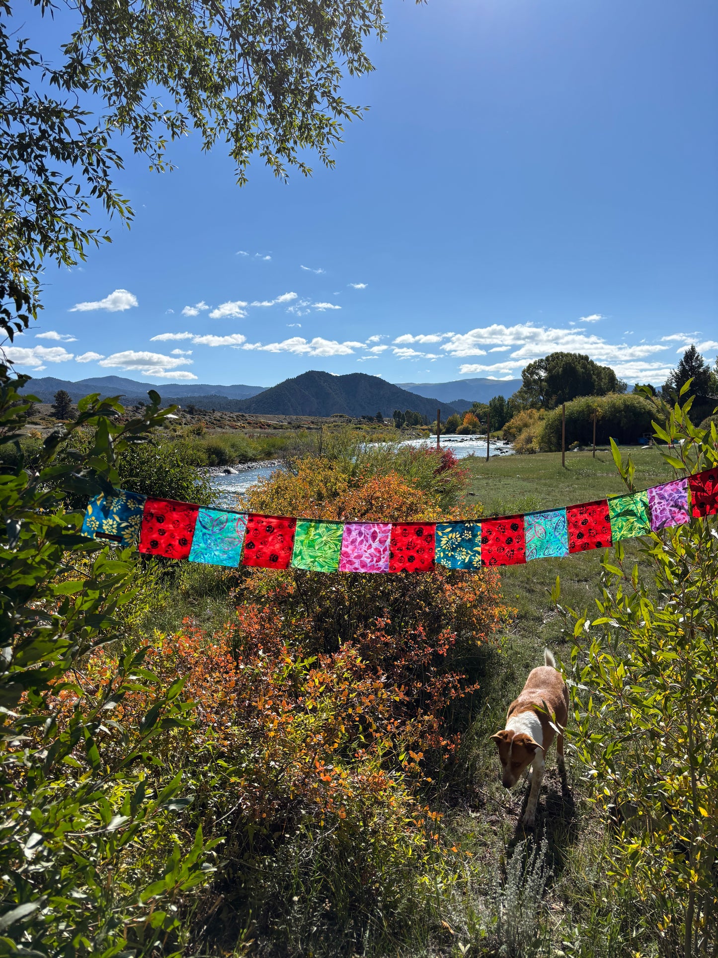Lady Bug and Leaf Prayer Flags