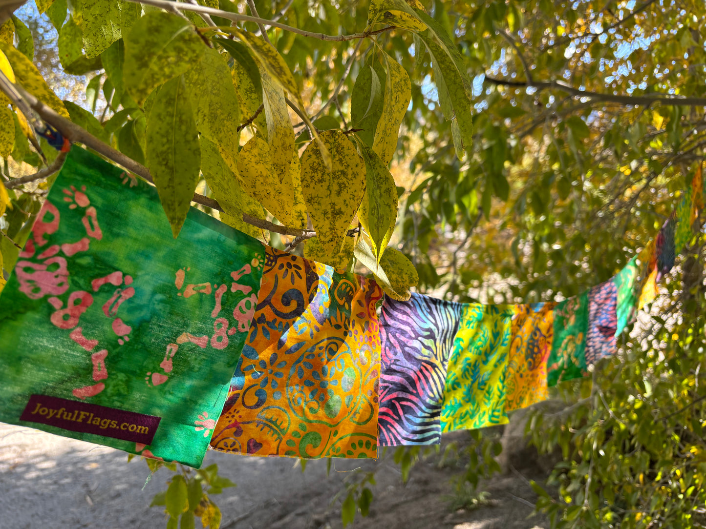 Fiesta & Skulls Flags