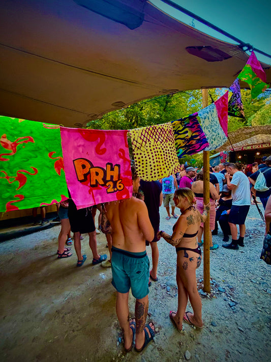 Punk Rock Holiday Flags 2.6