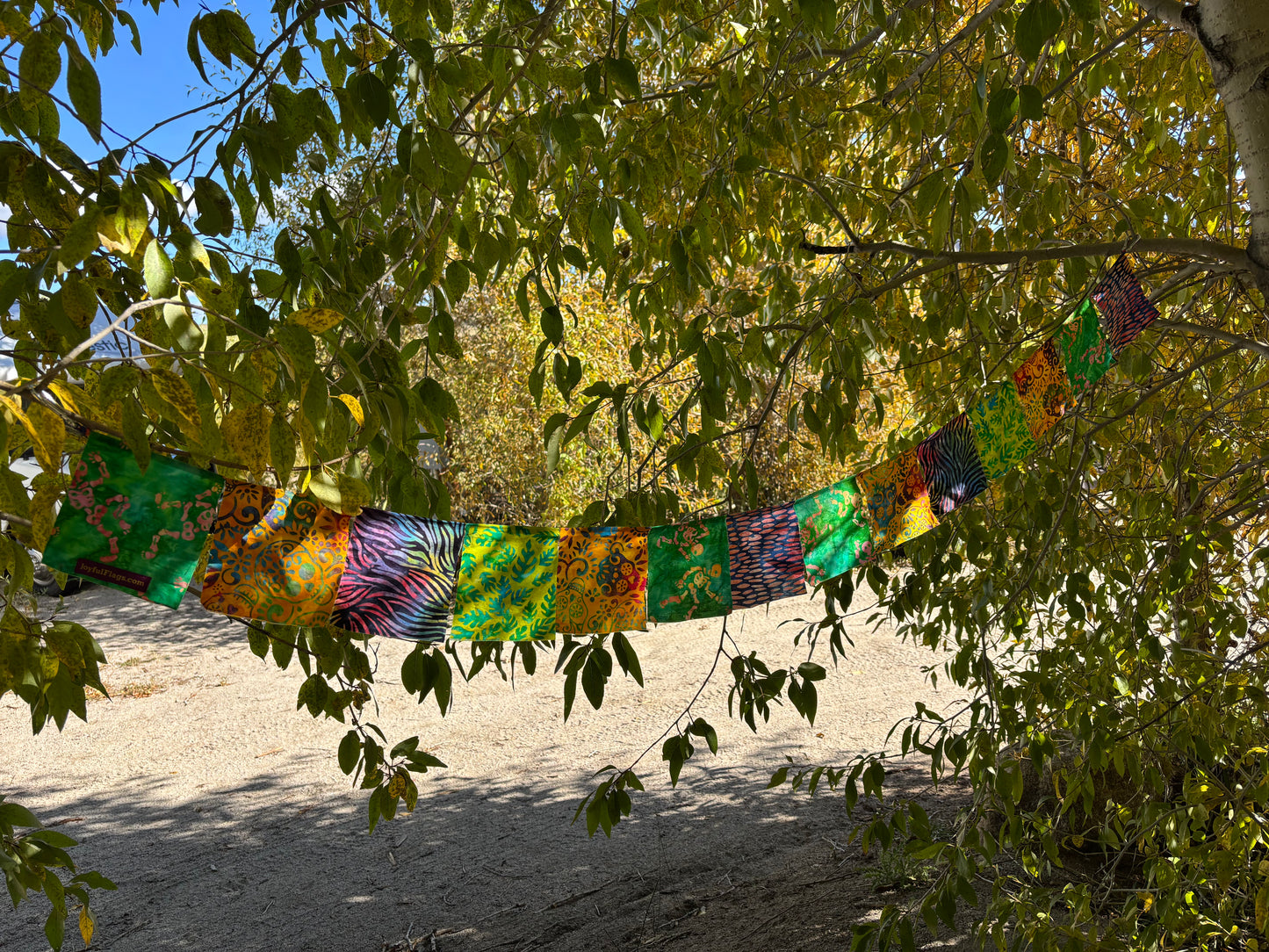 Fiesta & Skulls Flags