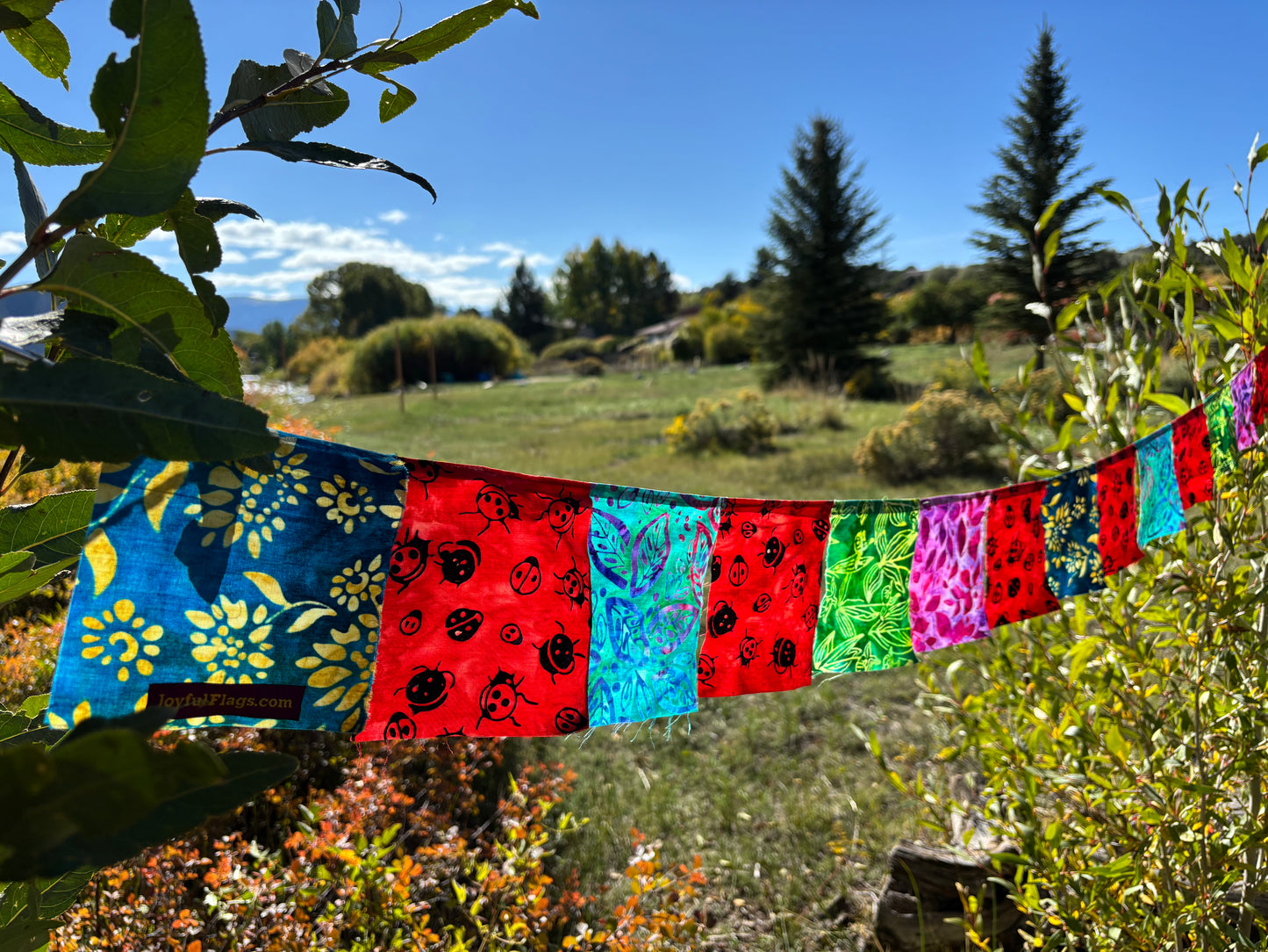 Lady Bug and Leaf Prayer Flags
